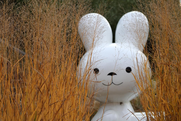 창의력을 높이는 심리학적 방법