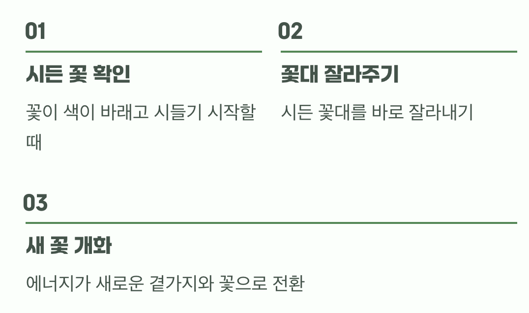 화려한 꽃을 더 오래 보려면