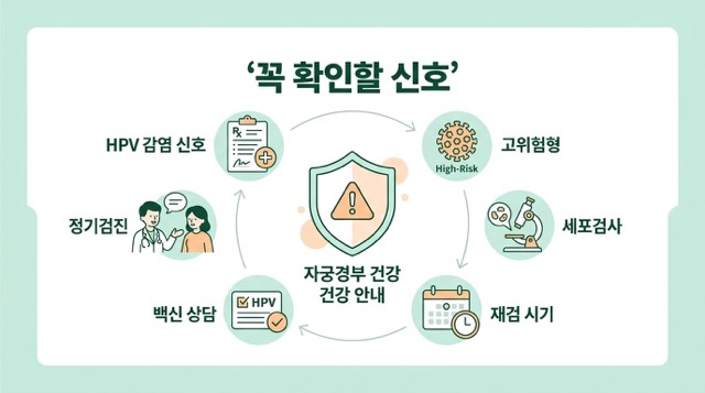 HPV 바이러스 주의사항 이미지