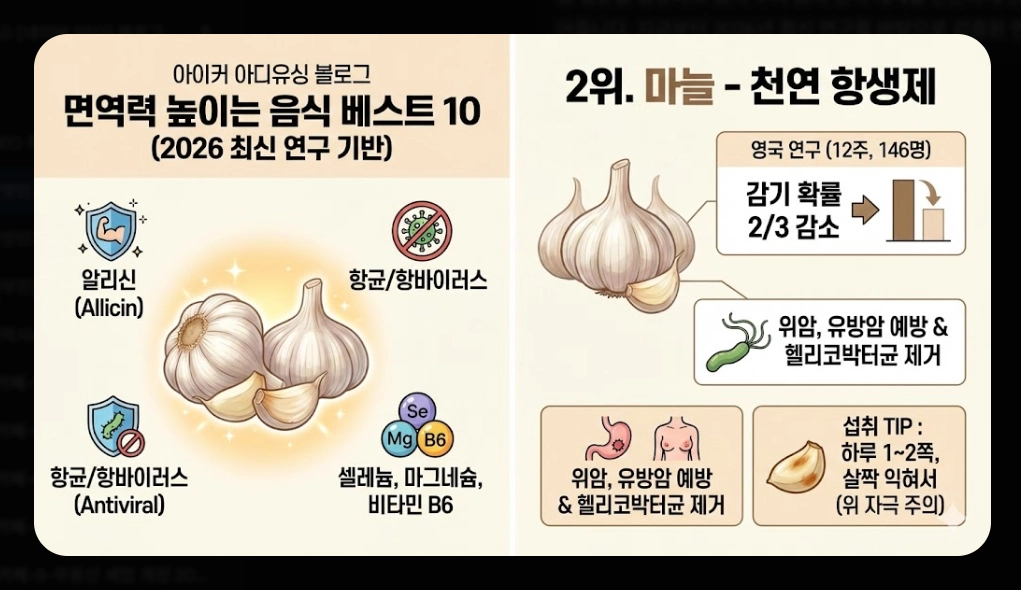 면역력 높이는 음식 베스트 10 [2026년판] 강화 식품 섭취법 및 생활 습관 총정리