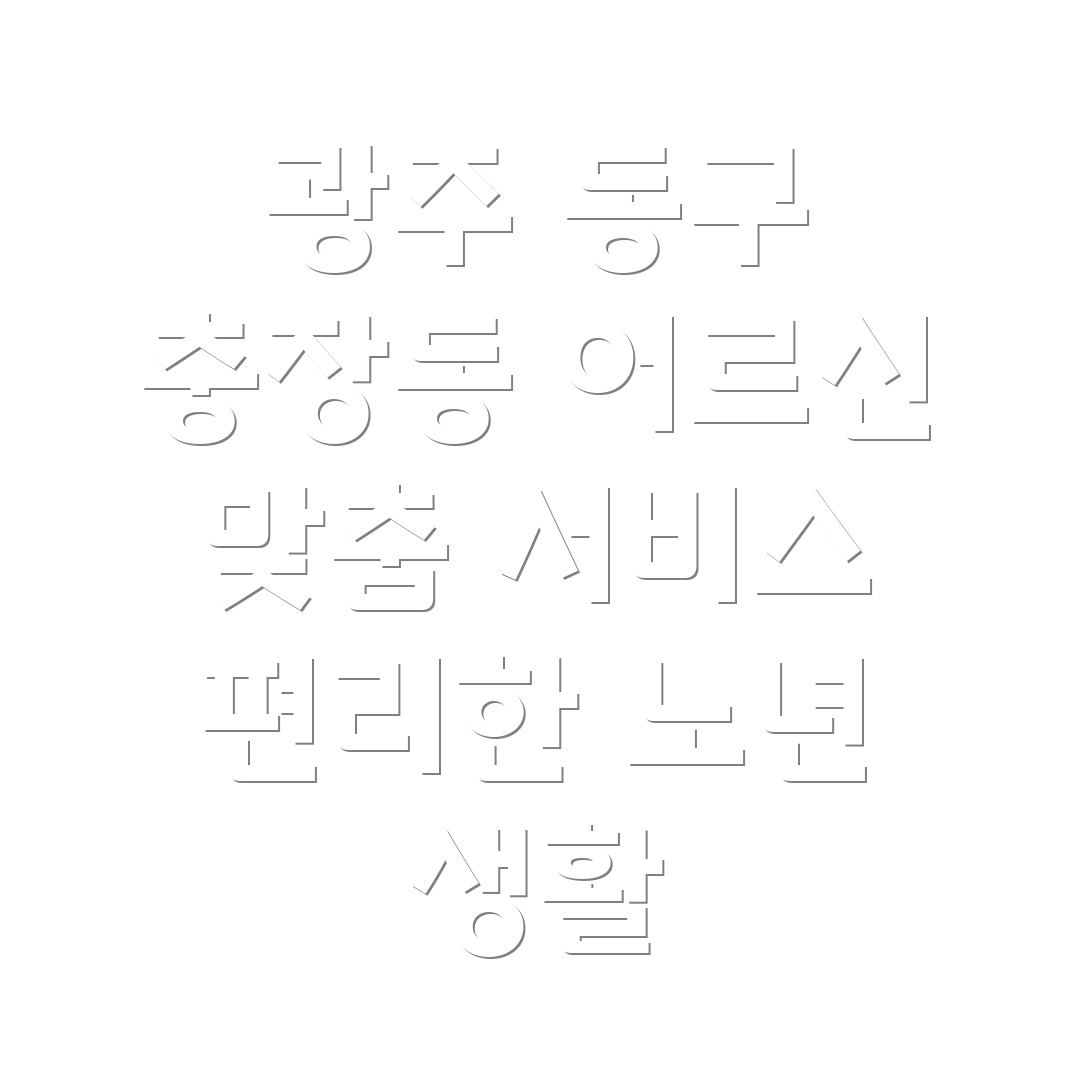 광주 동구 충장동 노인 맞춤형 서비스