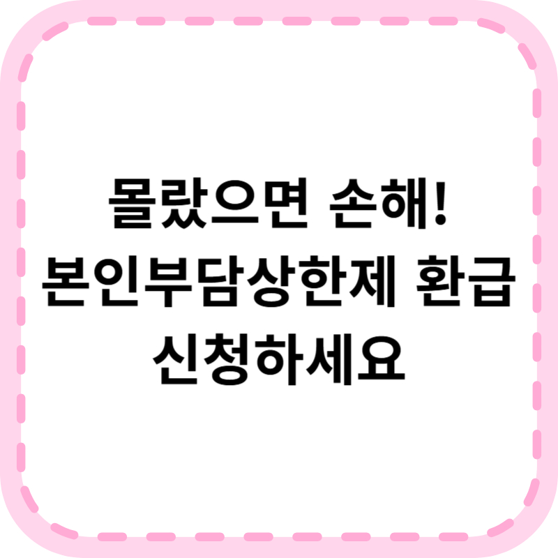 본인부담상한제 환급 대상 및 기간 신청방법 알아보기