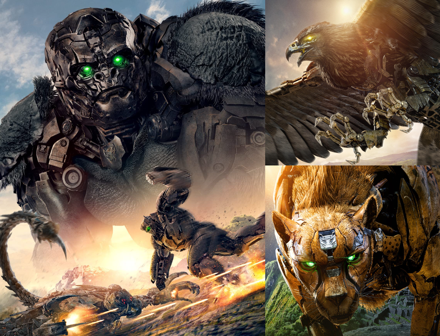 트랜스포머 맥시멀 종족 모음