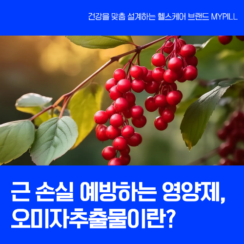 오미자추출물
