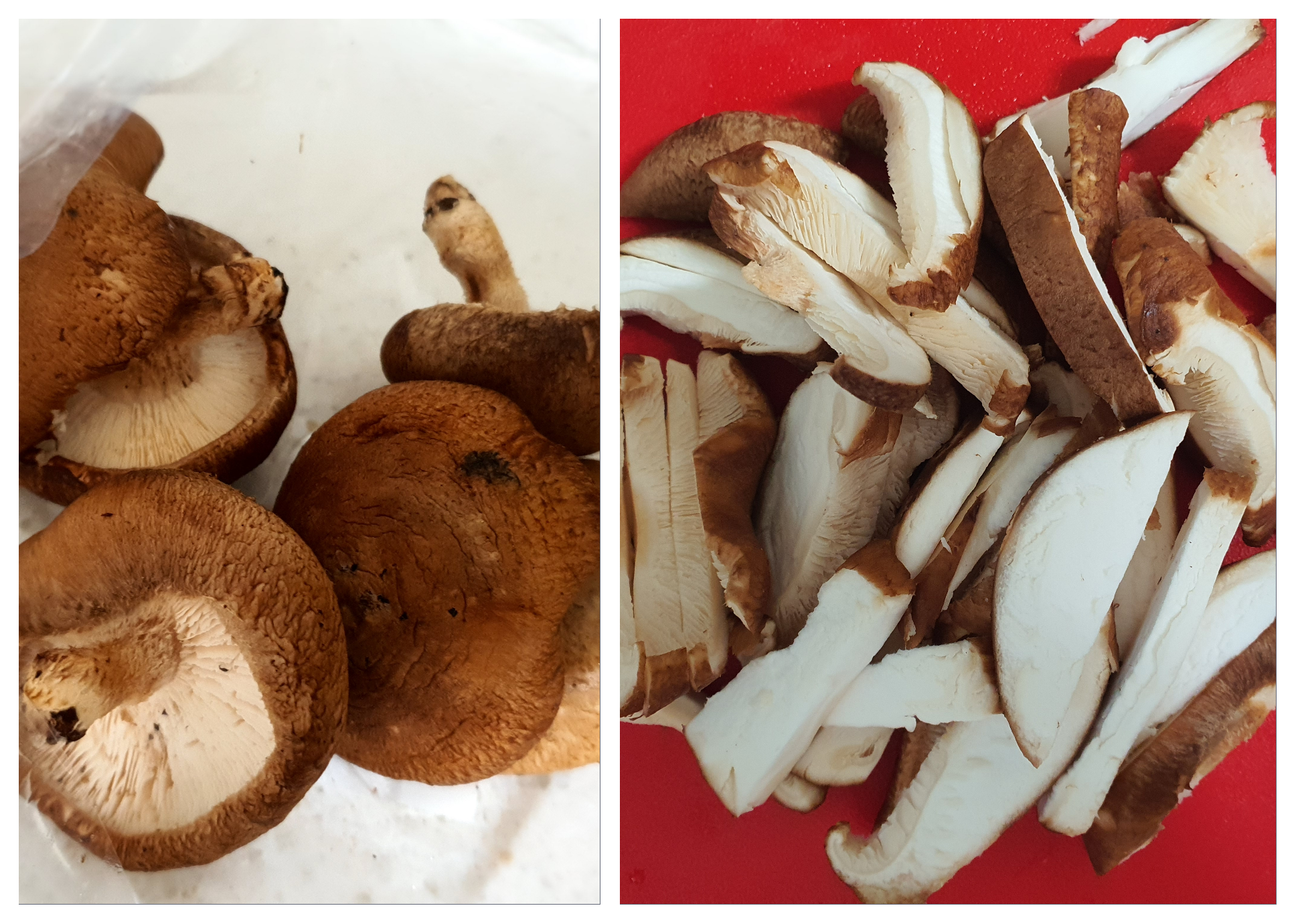 표고버섯은-채를-썰어-준비합니다.