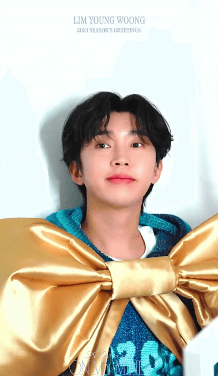 임영웅 2024 콘서트 고양 킨텍스 일정 예매방법