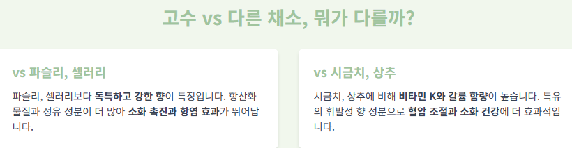 고수 효능 8가지와 부작용, 알레르기 및 부작용, 보관 방법!