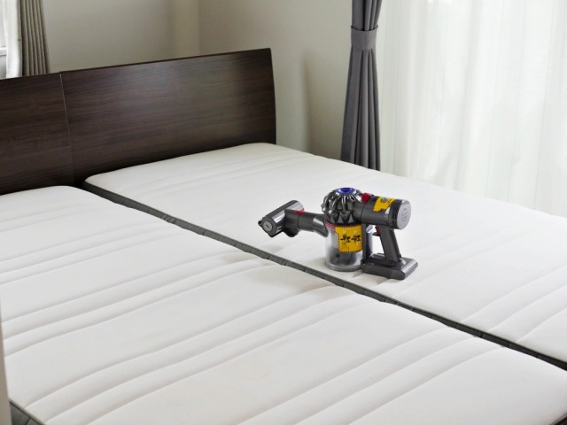 다이슨 청소기 먼지통 비우기 헤드 청소