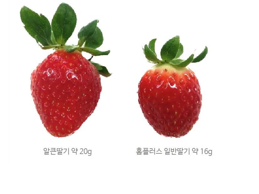 홈플러스 25주년 슈퍼세일 Best 11