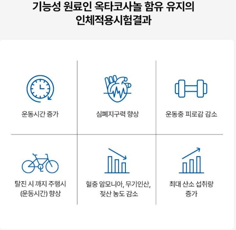 파란통 다이어트 효과