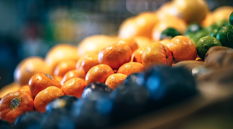 전선 점검 및 유지관리 방법