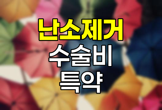 한화손해보험 난소제거 수술비 특약, 여성 건강 보장의 새로운 지평