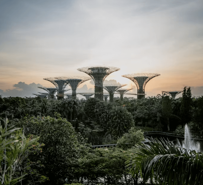 싱가포르 여행 완벽 가이드: 핵심 지역과 숨은 명소