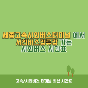 세종고속시외버스터미널에서 서천버스정류장 가는 시외버스 시간표 최신정보
