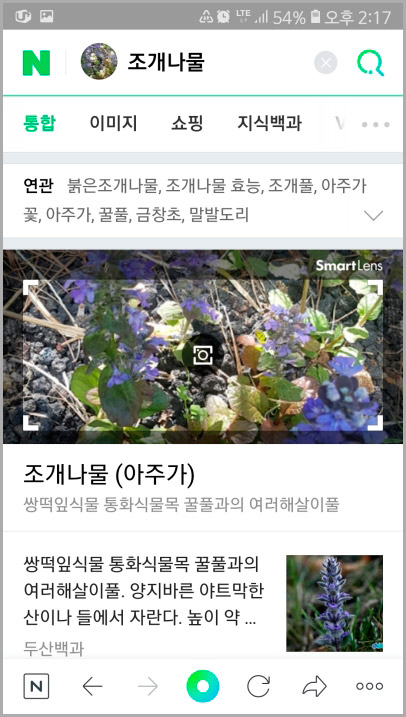 네이버 꽃 검색