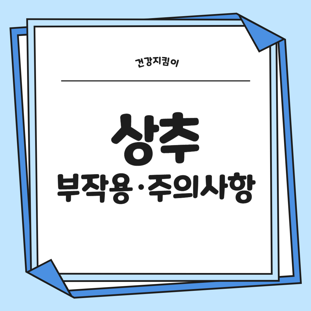 상추의 기막힌 효능 부작용 영양성분