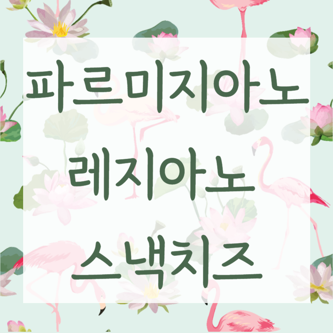 Parmareggio Snack! 파르미지아노레지아노 스낵치즈