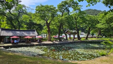 영월 보덕사 : 단종의 슬픔을 품고 연꽃으로 피어난 천년고찰