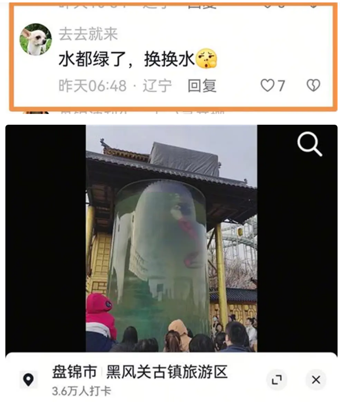 중국 랴오닝성 판진 인어공연