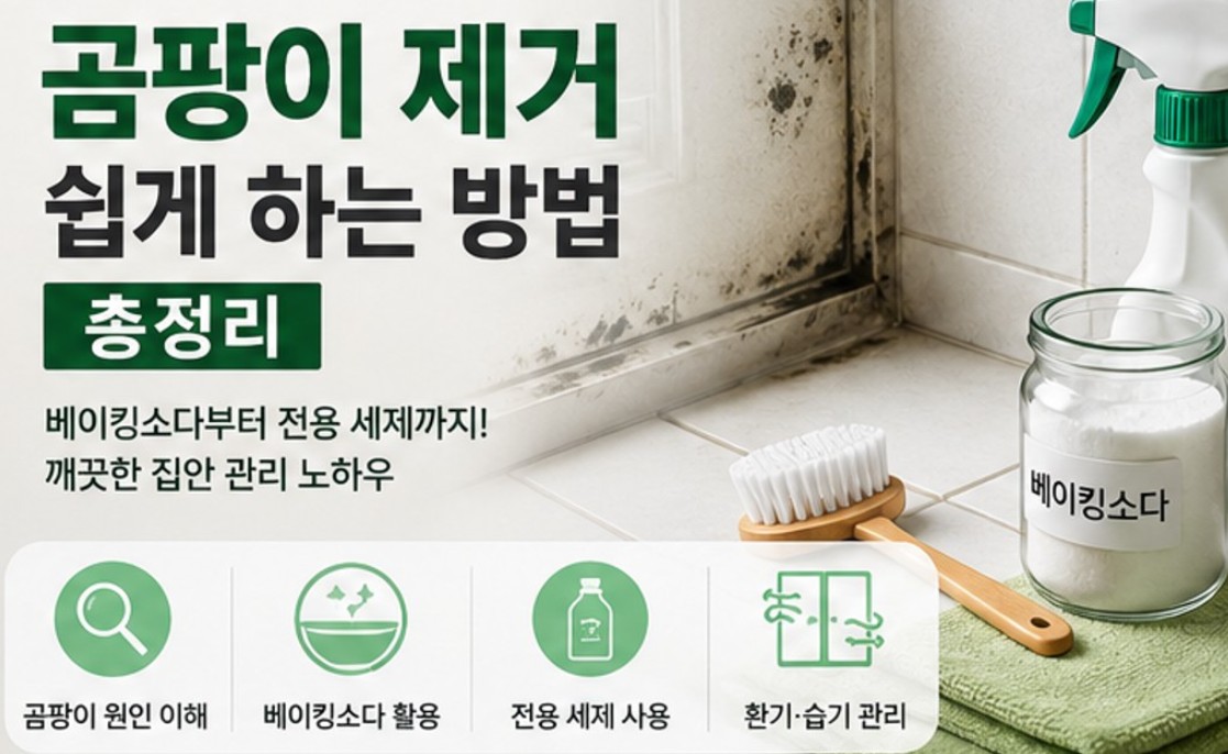 곰팡이 제거 꿀팁