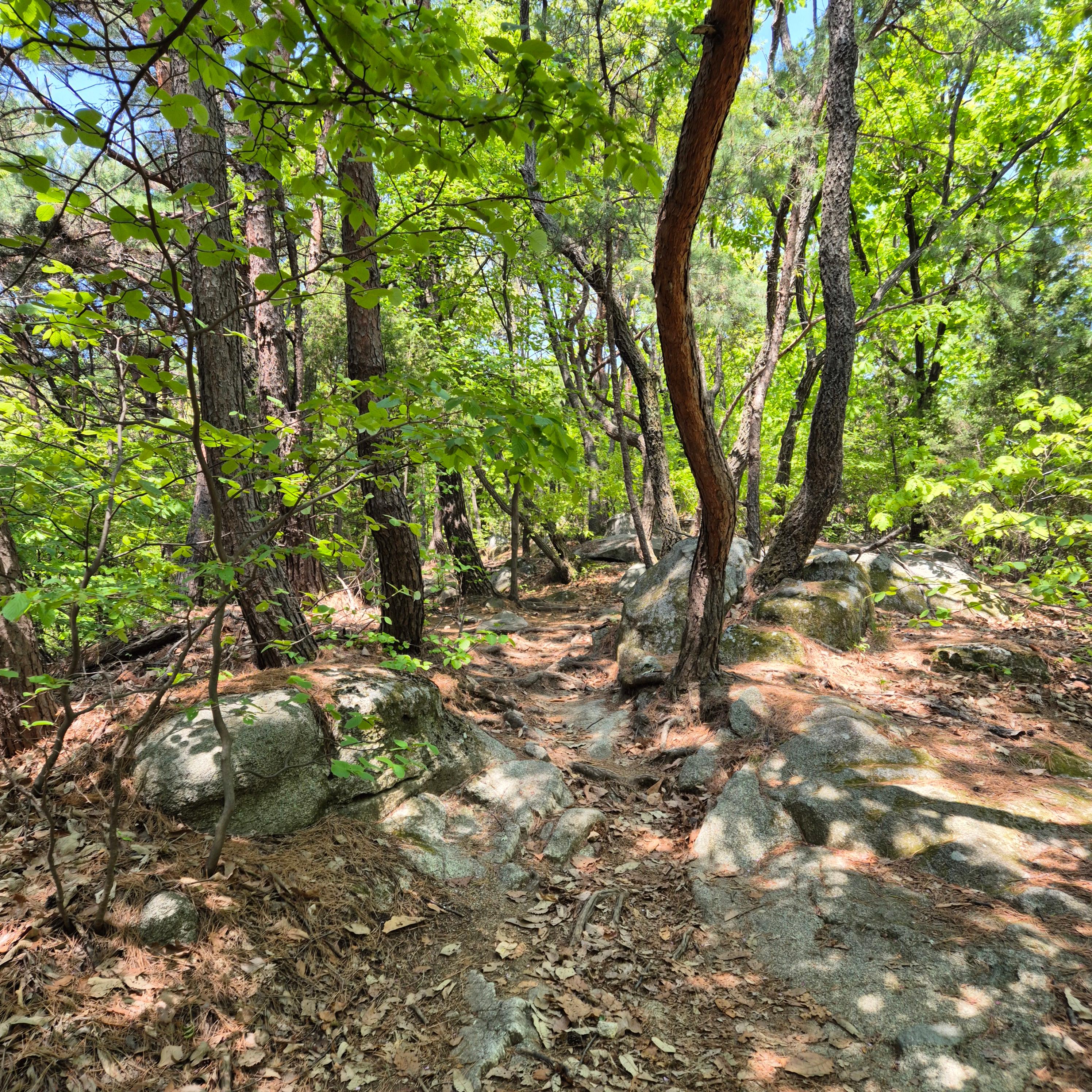 마니산 입장료&amp;#44; 마니산&amp;#44; 마니산 등산&amp;#44; 마니산 등산로&amp;#44; 강화도 마니산&amp;#44; 강화 마니산&amp;#44; 함허동천&amp;#44; 함허동천로&amp;#44; 마니산 함허동천로&amp;#44; 마니산 험허동천&amp;#44; 마니산 계곡로&amp;#44; 마니산 단군로&amp;#44; 마니산 주차장