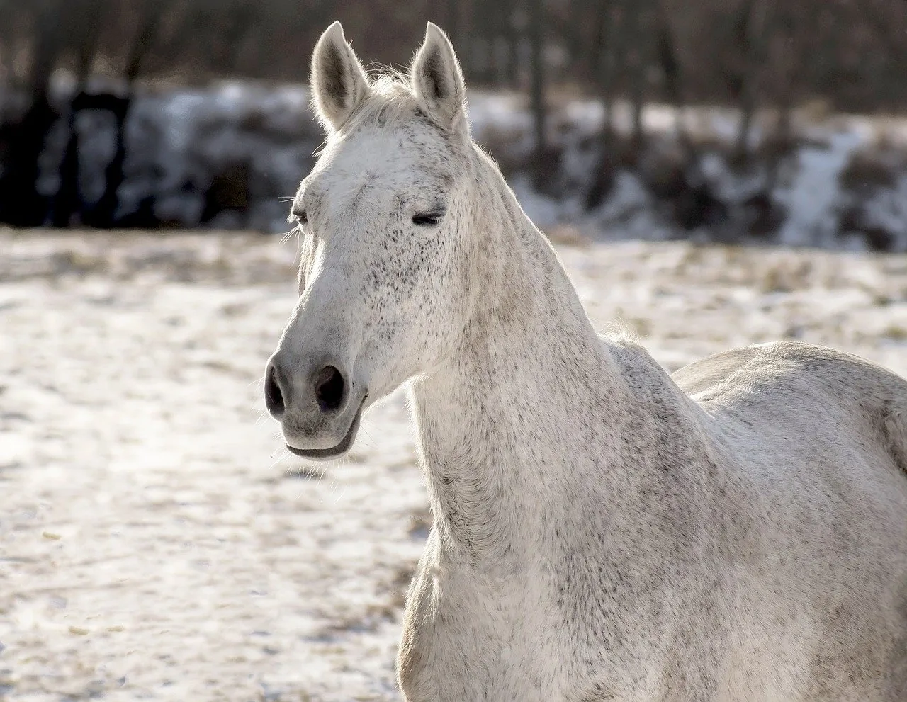 MBTI 성격 유형검사 해석·활용 가이드
