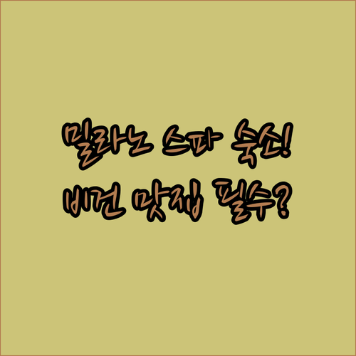 스파 근처 밀라노 숙소 추천과 포르타..