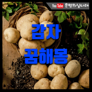 썸네일사진