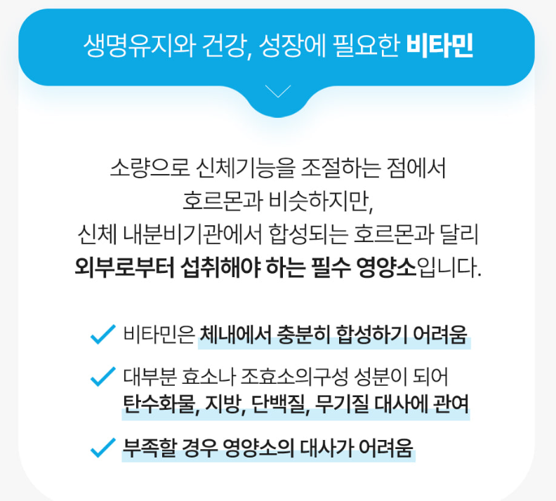 비타민 추천 베스트3