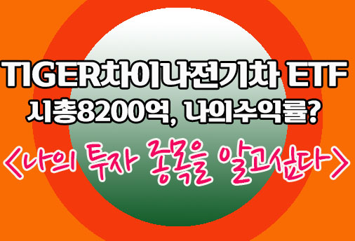 차이나전기차 ETF 나의 수익률