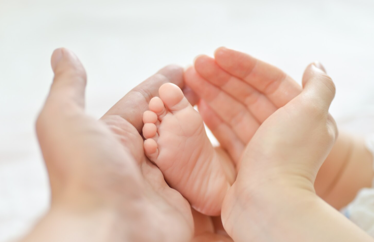 출산 장려 정책