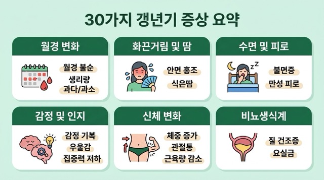 갱년기 증상 30가지 요약표 이미지
