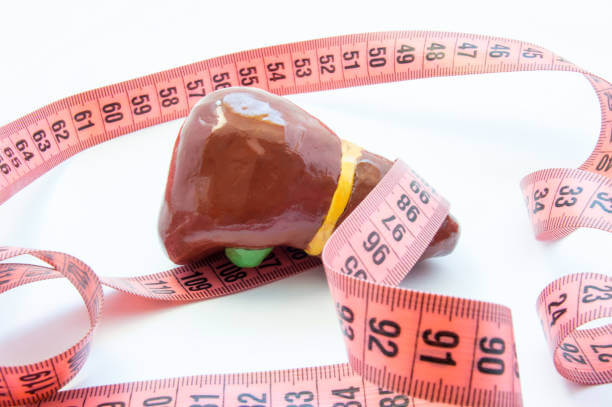 지방간에 좋은 음식 11가지 원인과 증상을 알아봤습니다.