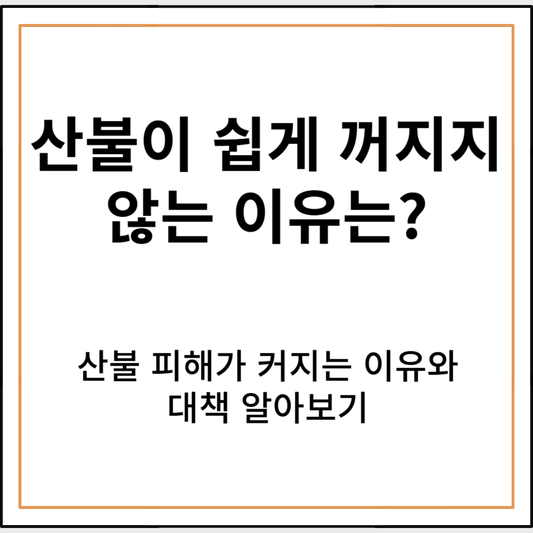 산불 피해 확산의 원인과 대책