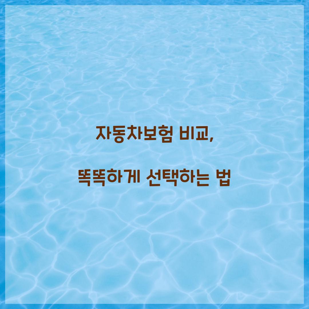 자동차보험 비교
