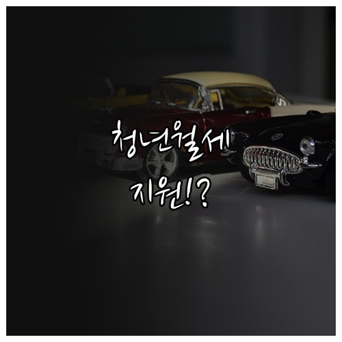 홍천군 거주 만19세39세 무주택 청..