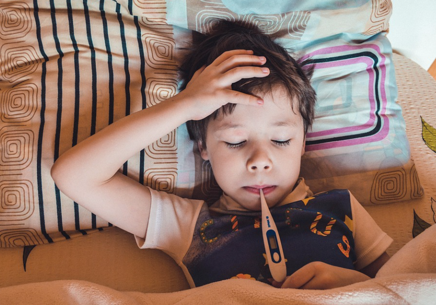 마버그 바이러스