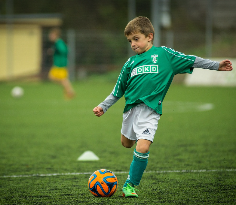 일상생활 배상책임보험