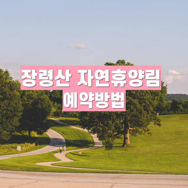 장령산자연휴양림 완벽 가이드 (예약, 주차, 맛집, 체험)