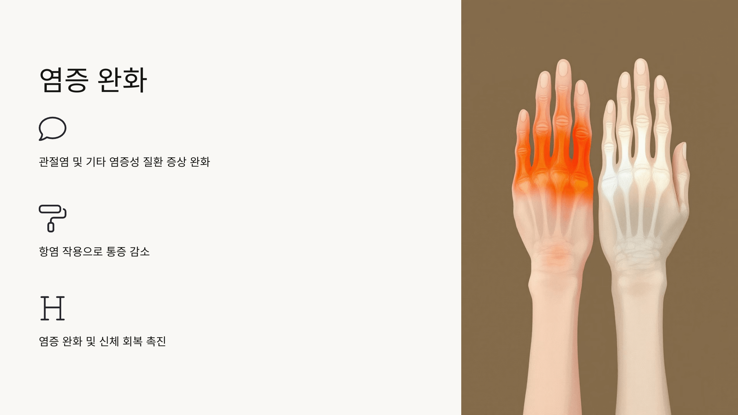 마가목 열매 사진입니다.