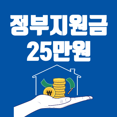 정부지원금 25만원