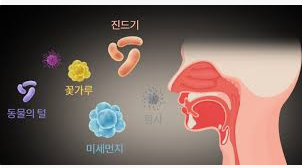 비염치료2