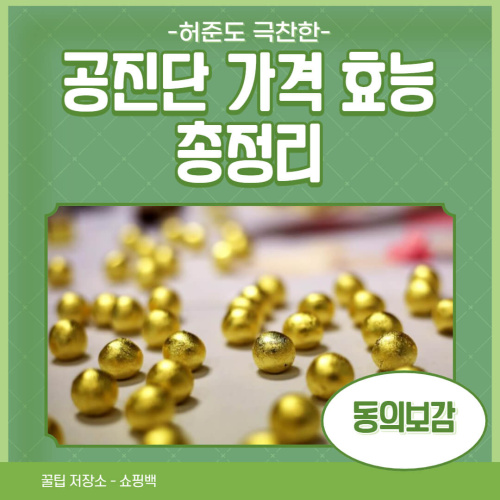 공진단 가격 효능 총정리 공진단 가격 효능 총정리