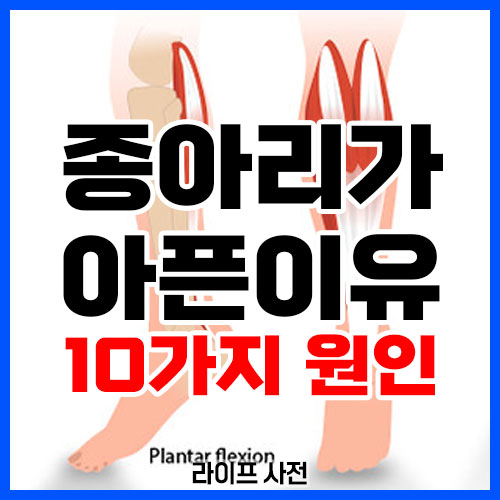 종아리가 아픈이유