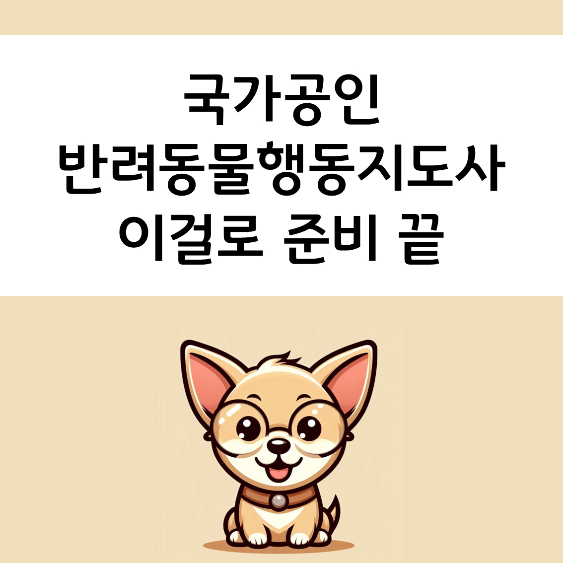 국가공인 반려동물행동지도사 자격증
