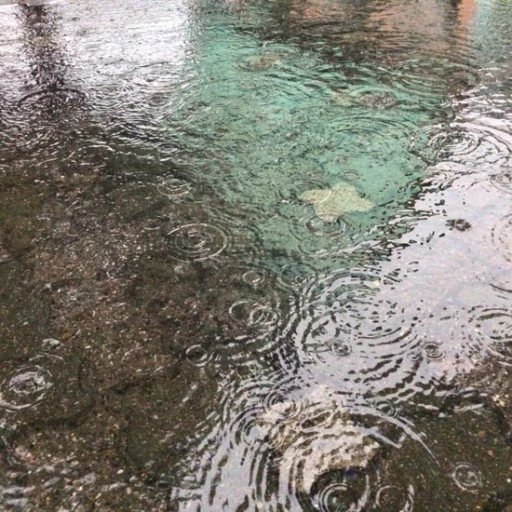 비 내리는 이미지