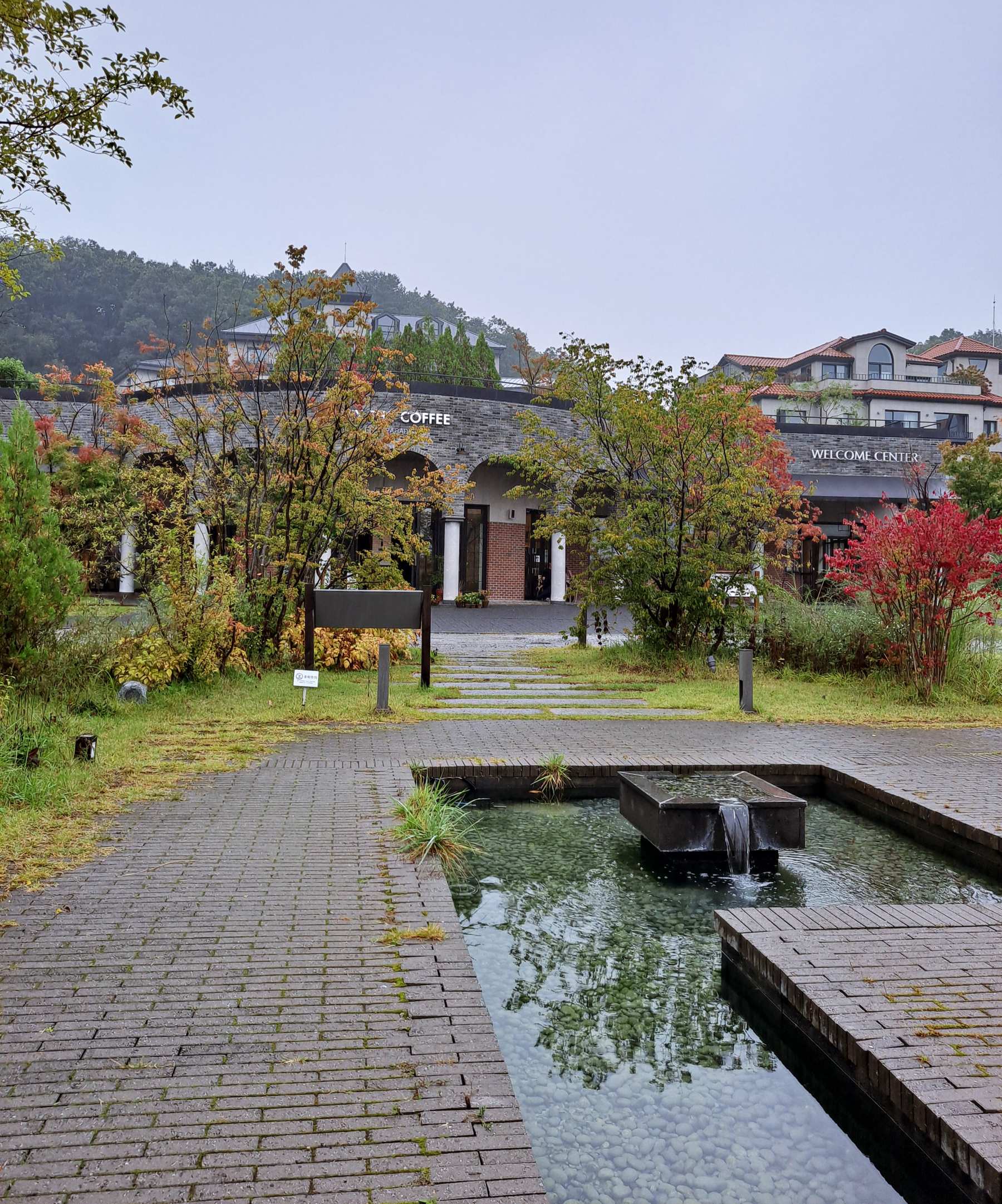 알렉스더커피 앞 가든