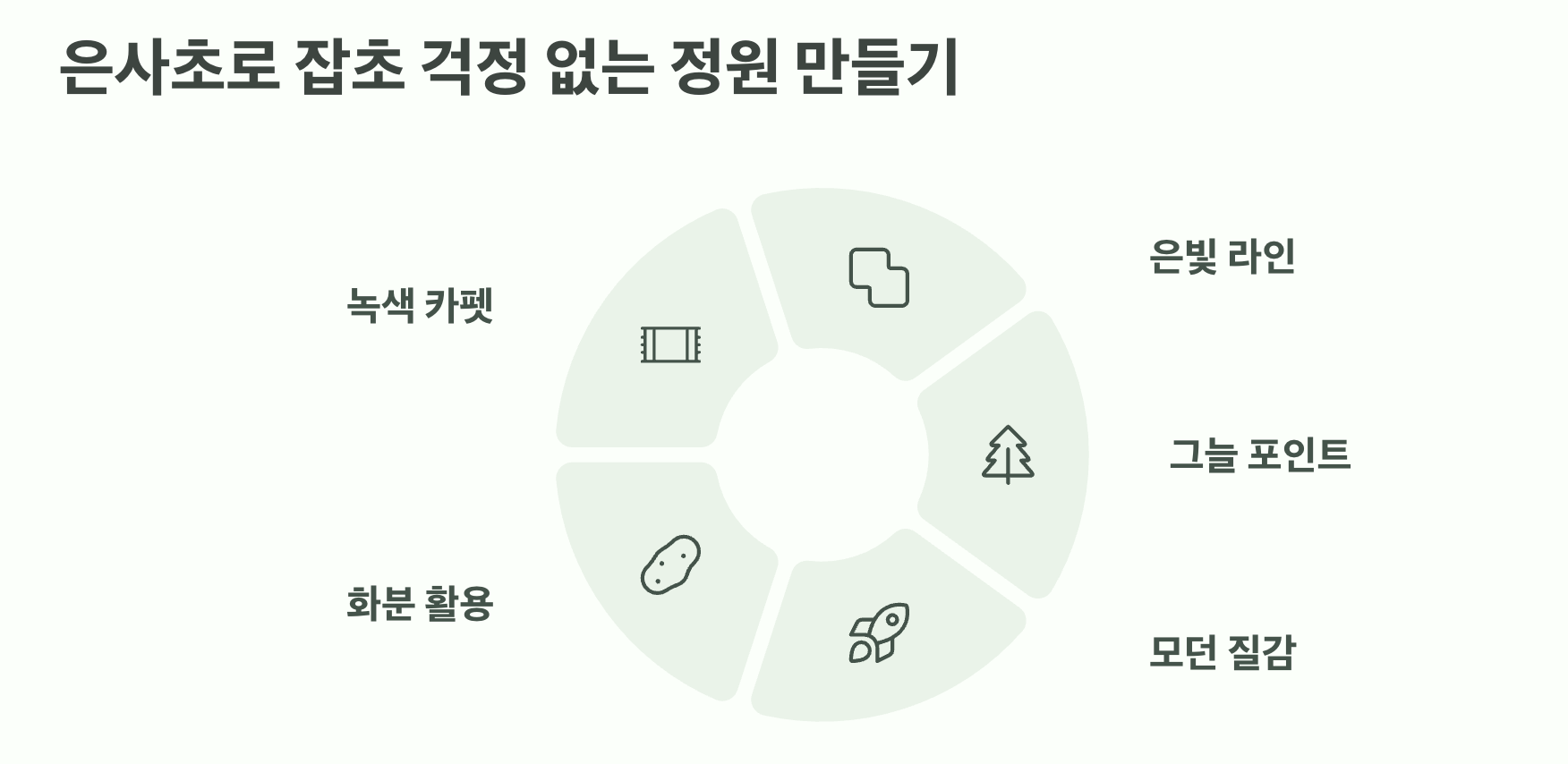 잡초 걱정 끝! 최고의 지피식물 은사초 활용법 5가지