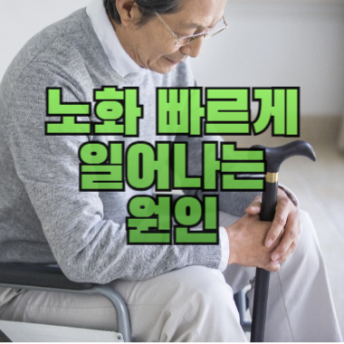 노화 빠르게 일어나는 원인