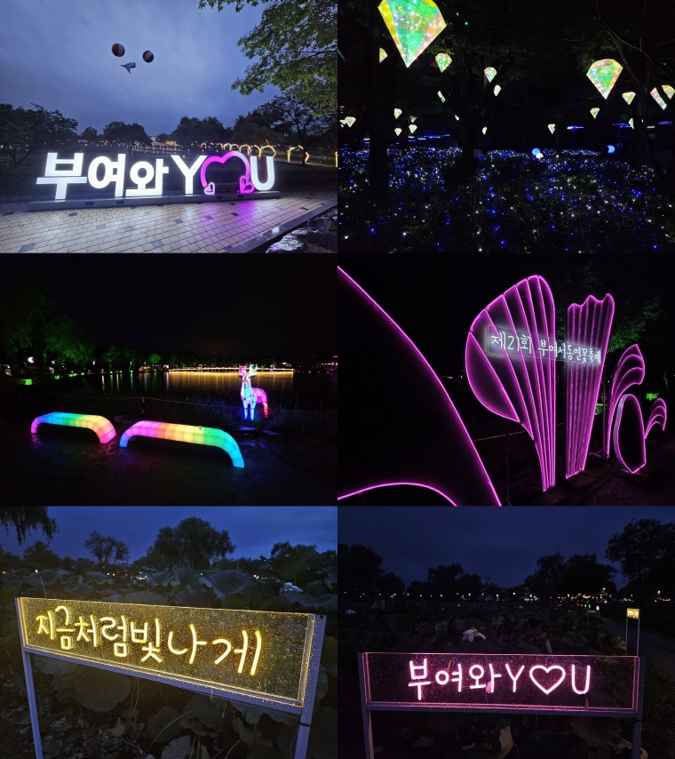 부여서동연꽃축제 야간경관들